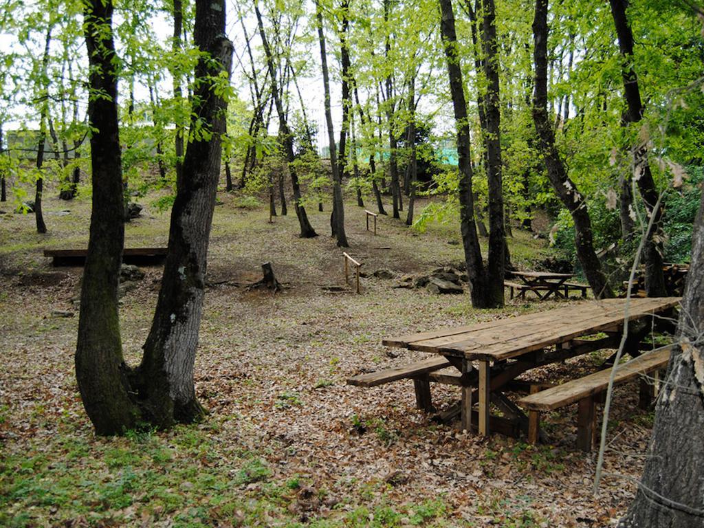Village Sport Holidays Cerveteri Zimmer foto